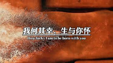 万词王